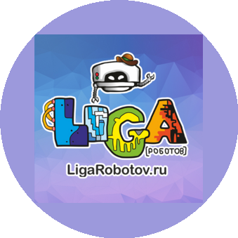 Лига роботов (ИП Сырыгин Александр Александрович)