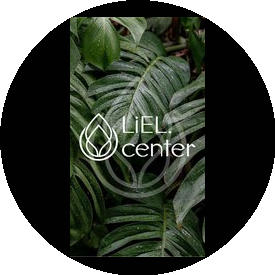 Лиель Центр
