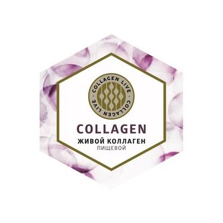 Медянкин Е.В.