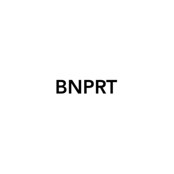 BNPRT (ООО ЗАРНЕР)