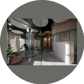 Студия Timeless