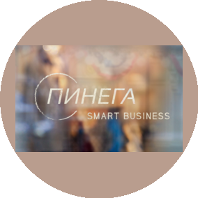 Пинега