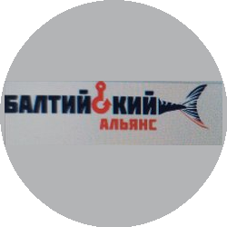 ТК Балтийский Альянс