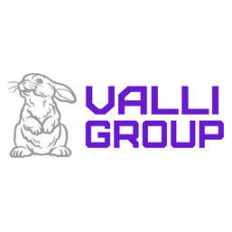 VALLI GROUP