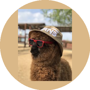 Ферма российские альпаки