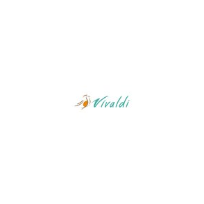 Дистанционная бухгалтерия VIVALDI