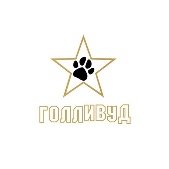 Плюмерия Групп