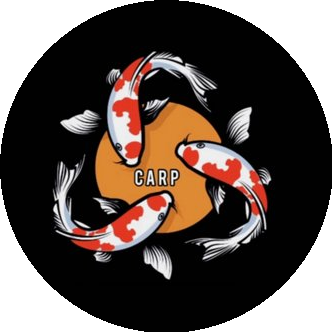 Жуковский С.С