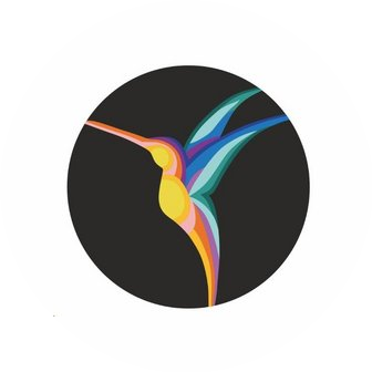 ХаммингБёрд, ЧП