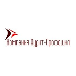 Компания Аудит-Профешнл