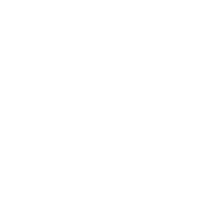 Reness IT