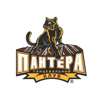 Спортивно-танцевальный клуб Пантера (ИП Брусникина Александра Сергеевна)