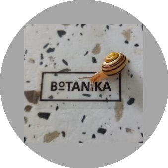 Цветочное место