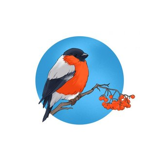 Детский сад №30 Снегирёк