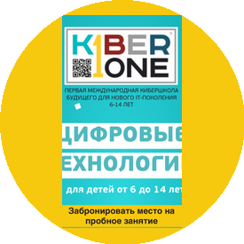 Kiber1 (ИП Оборотная Елена Трофимовна )