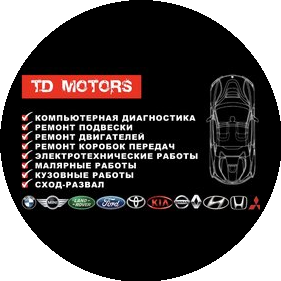 TD Motors