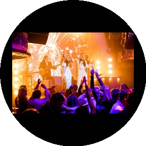 Кавер-группа Богемия