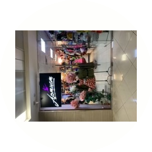 Арт-салон Артист (Михайленко Софья Юрьевна)