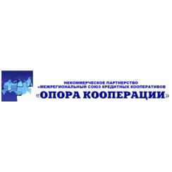 Опора кооперации, МСКК НП