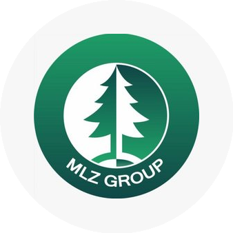 Млз Групп