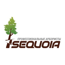 Sequoia