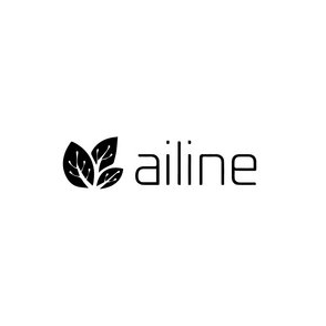 ОсОО Айлайн (AILINE)