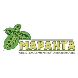Маранта