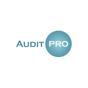 Аудит Про