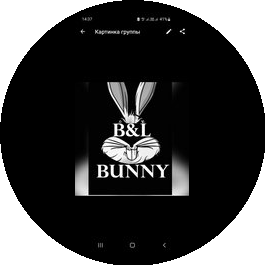 Магазин B&L-Bunny