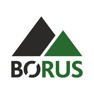 Борус