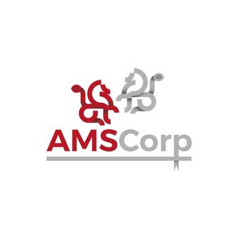 AMS Inc
