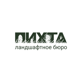 Пихта