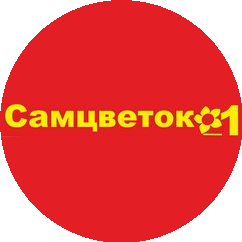 Багдасарян Артур Вазгенович