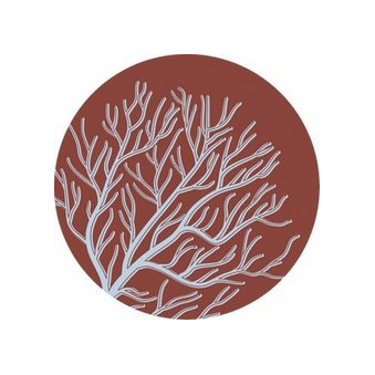 REEF BEAUTY STUDIO
