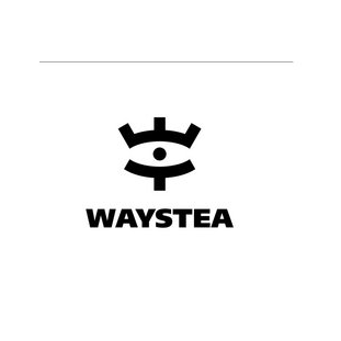 Магазин китайского чая Waystea