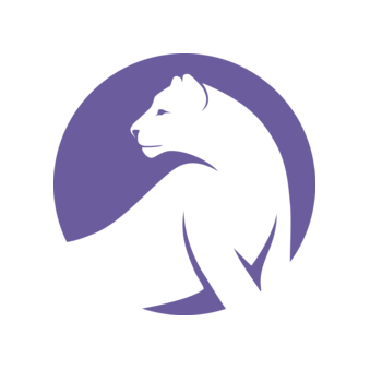 Театральная студия для детей Ирбис