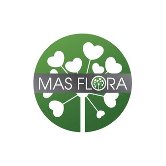 Mas Flora