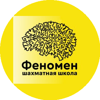 Шахматная школа Феномен