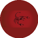 Сауна Скорпион