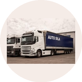 ВАСИЛЬЦЮН А В