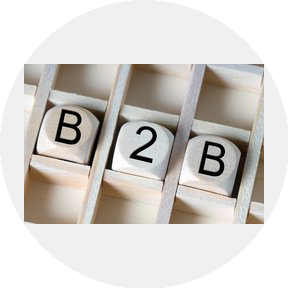 B2B-IT (ИП Казаков Сергей Васильевич)