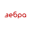 Зебра
