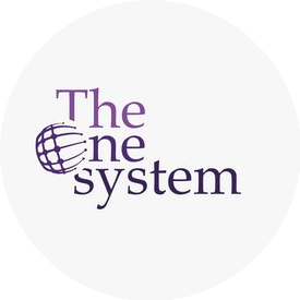 The One System (ИП Жумабаев)
