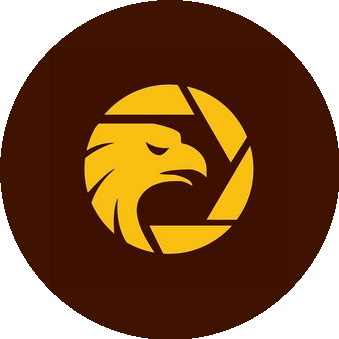 WikiFX Ltd