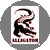 Alligator