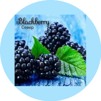 Блэкберри