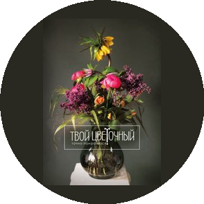 Мыркина Д.С