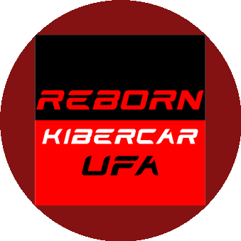 Reborn Technologies UFA (Мамлеев М.Р.)