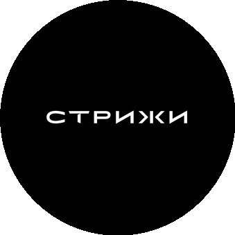 ГК Стрижи