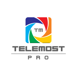 TelemostPro